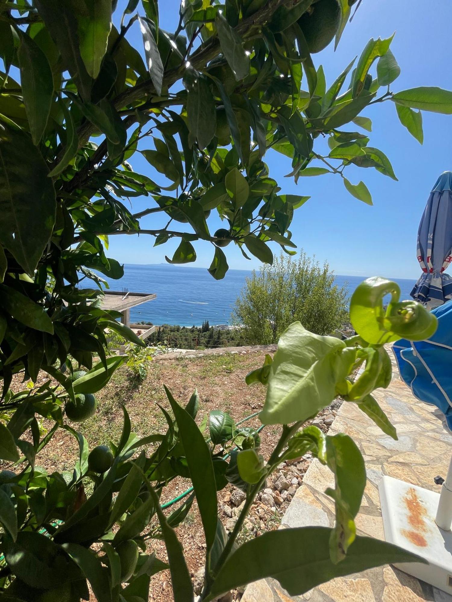 Endless Blue Apartments Dhërmi Εξωτερικό φωτογραφία